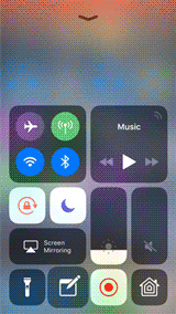 scan.gif
