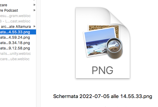 Schermata 2022-07-07 alle 11.22.31.png