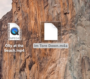 Screen icons.jpeg