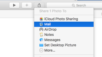 Screen Shot 2016-03-12 at 12.20.47 PM.png