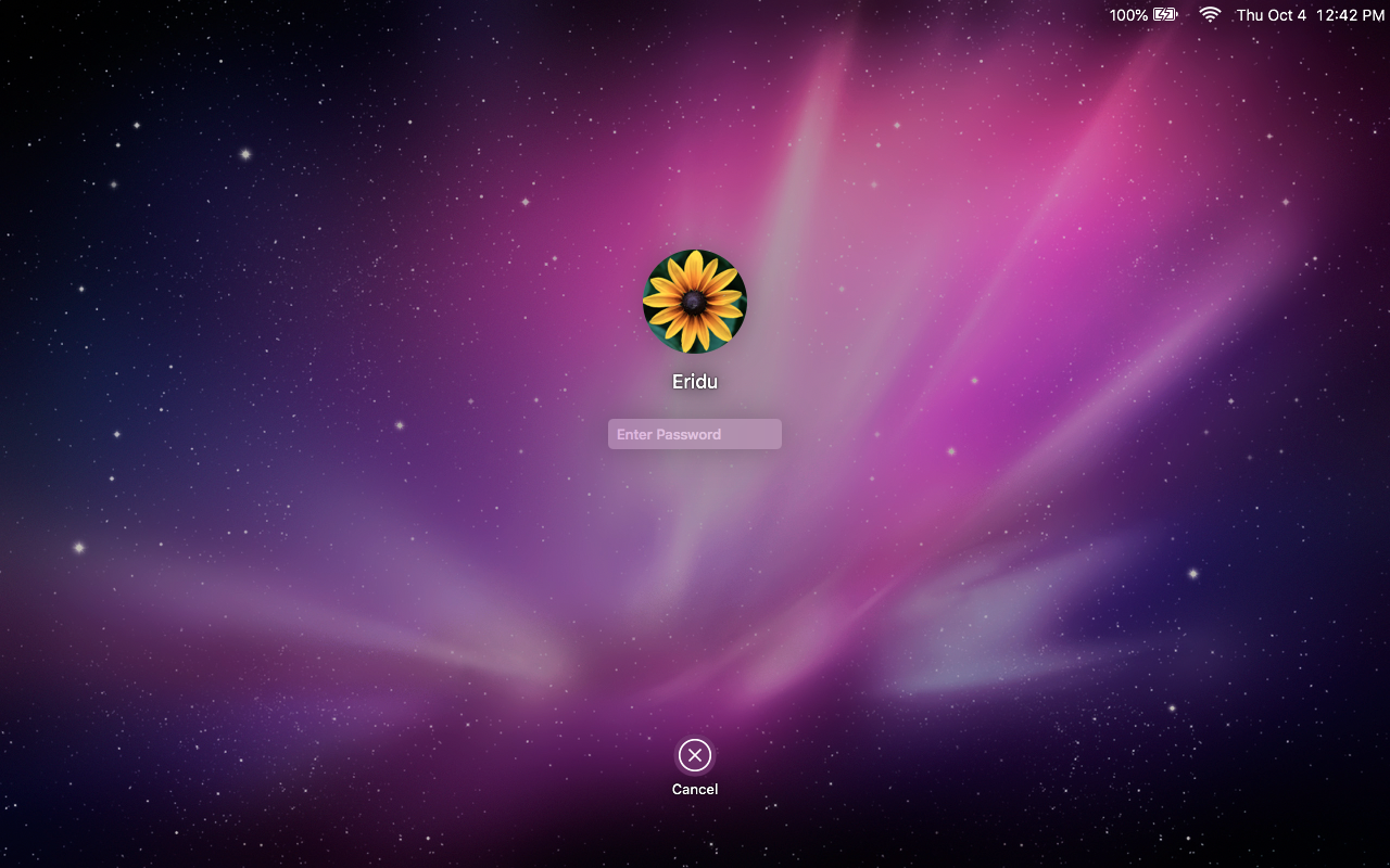 Screen Shot 2018-10-04 at 12.42.14 PM.png