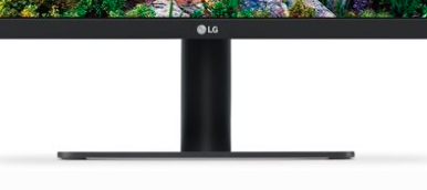 Screen Shot 2019-07-30 at 3.25.21 PM.png