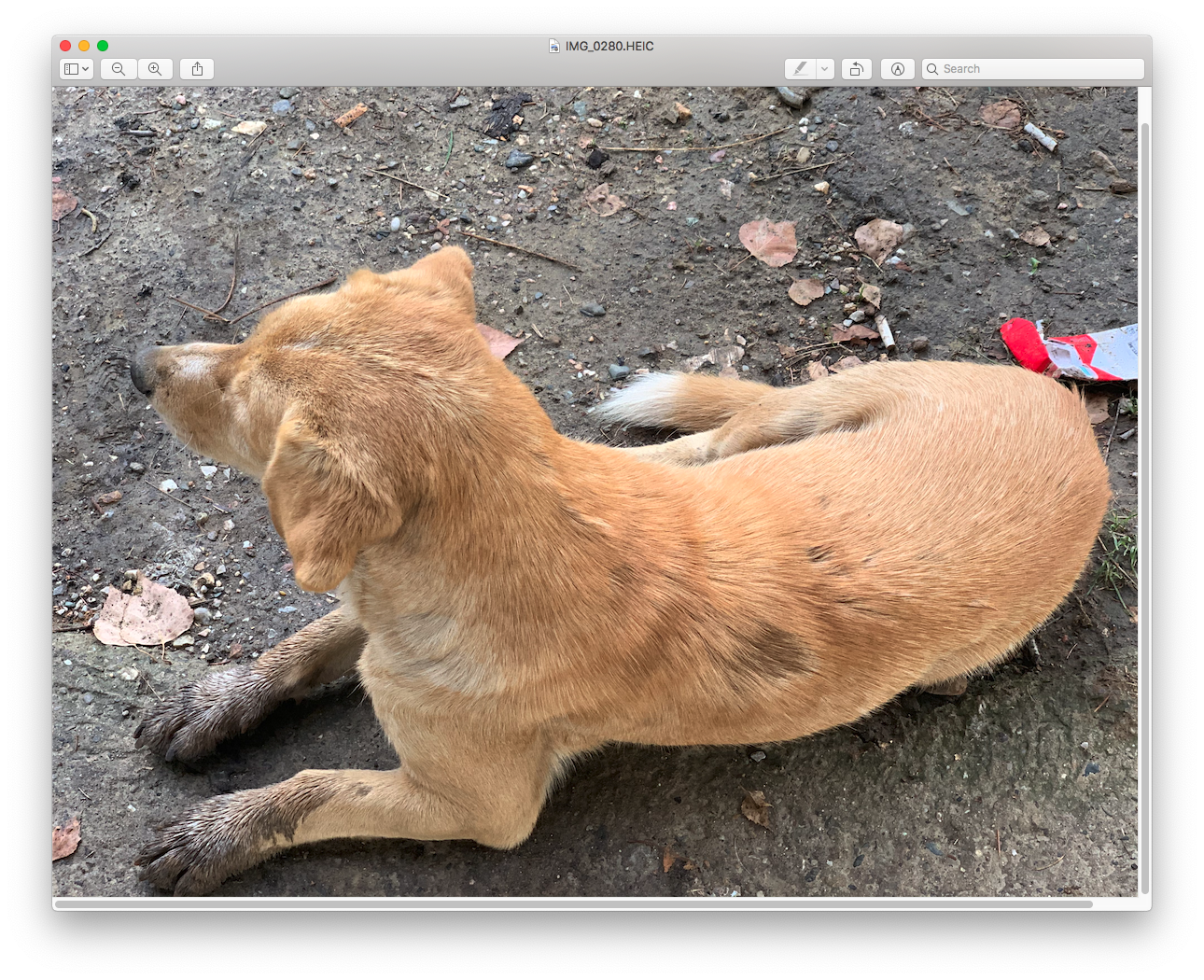Screen Shot 2019-10-09 at 2.20.30 PM.png