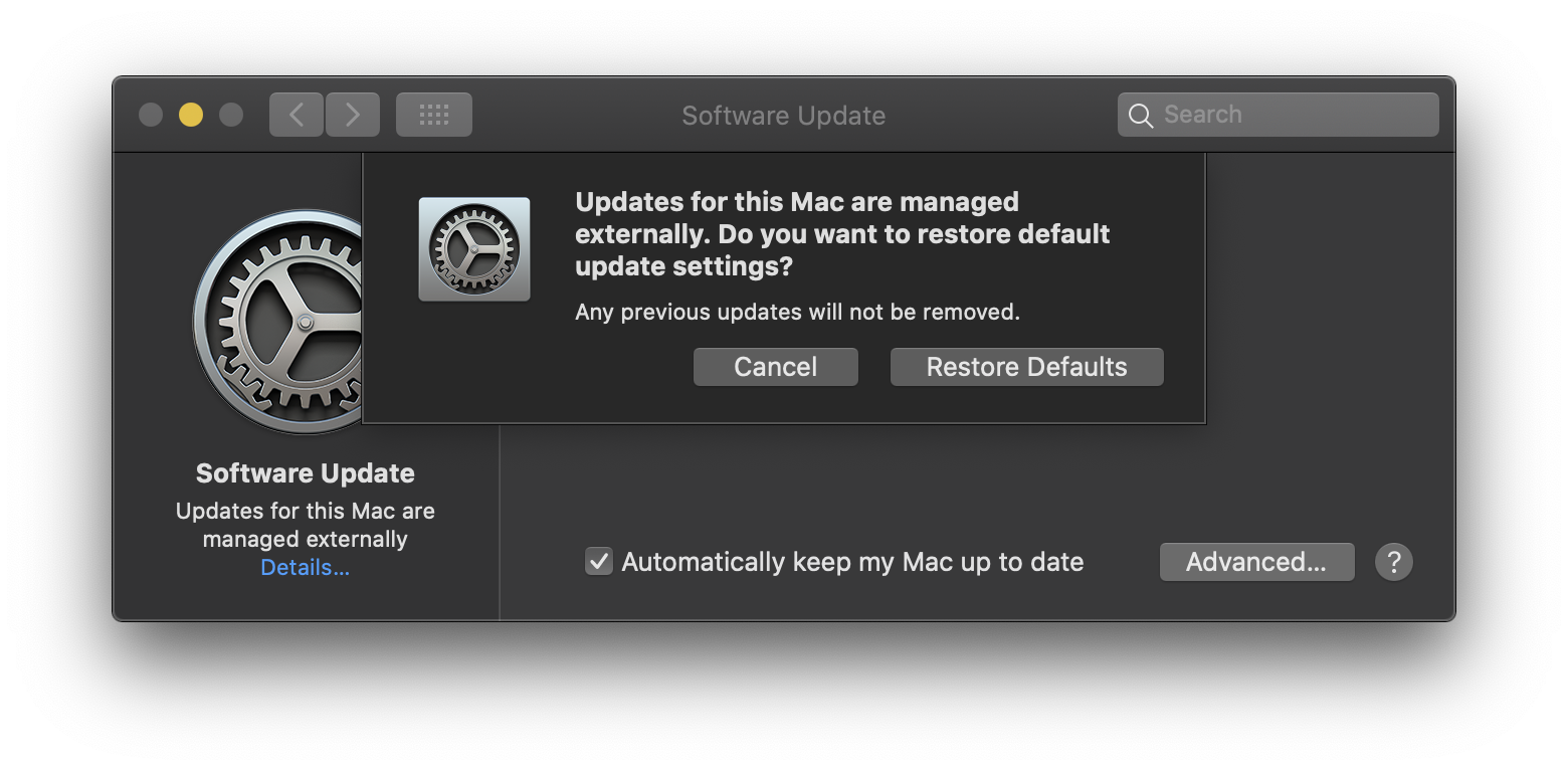 Screen Shot 2020-11-12 at 8.50.02 PM.png