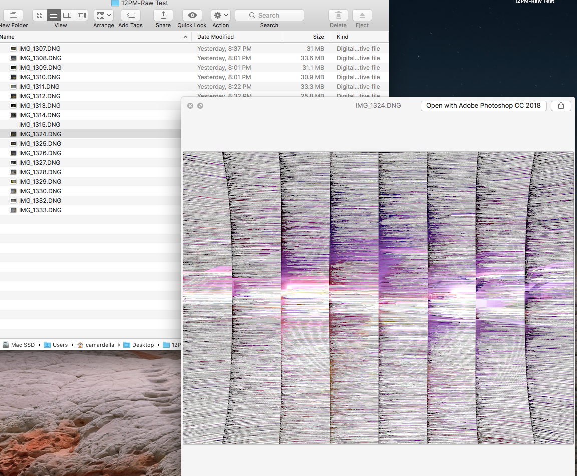 Screen Shot 2020-12-15 at 1.39.08 PM.png