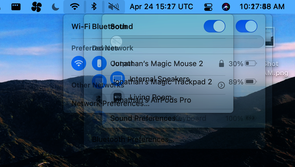 Screen Shot 2021-04-24 at 10.17.48 AM.jpg