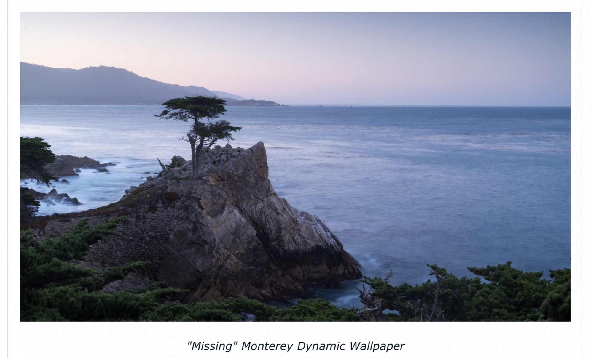 Screen Shot 2021-11-03 at 6.43.26 am.png