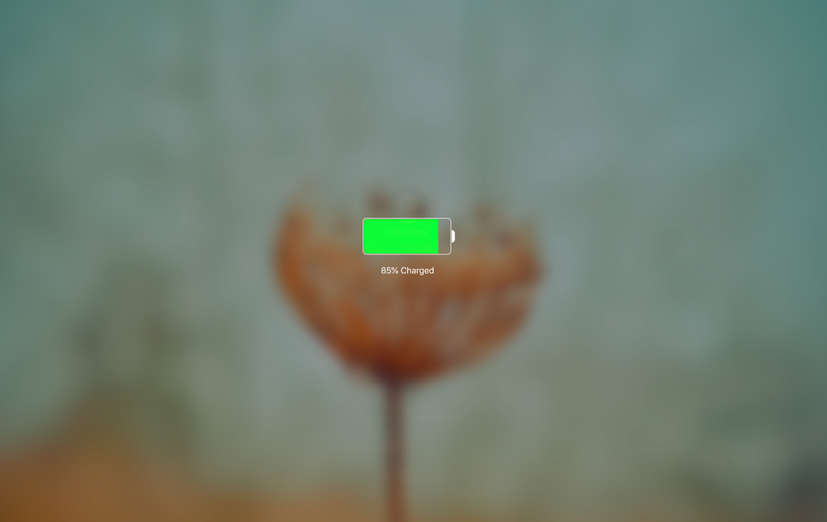 Screen Shot 2021-12-27 at 11.36.42 AM.png