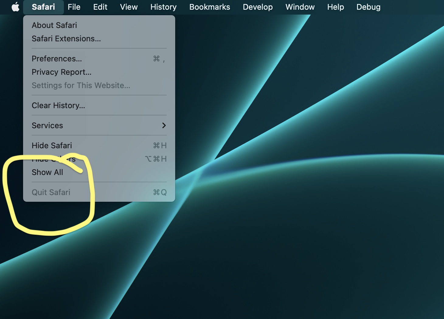 Screen Shot 2022-01-28 at 9.11.57 AM.jpg