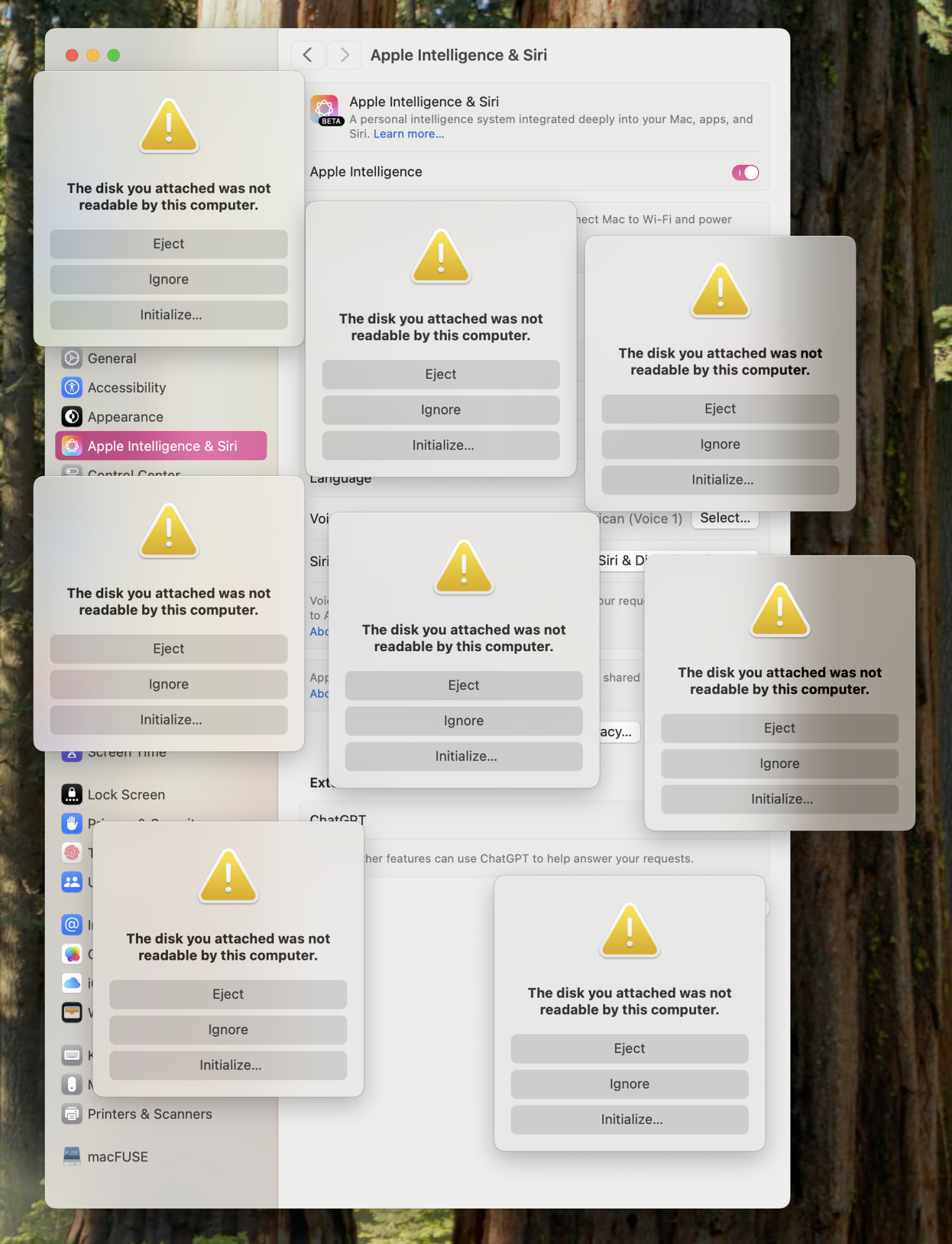 Screen Shot 2024-12-17 at 15.51.29.png