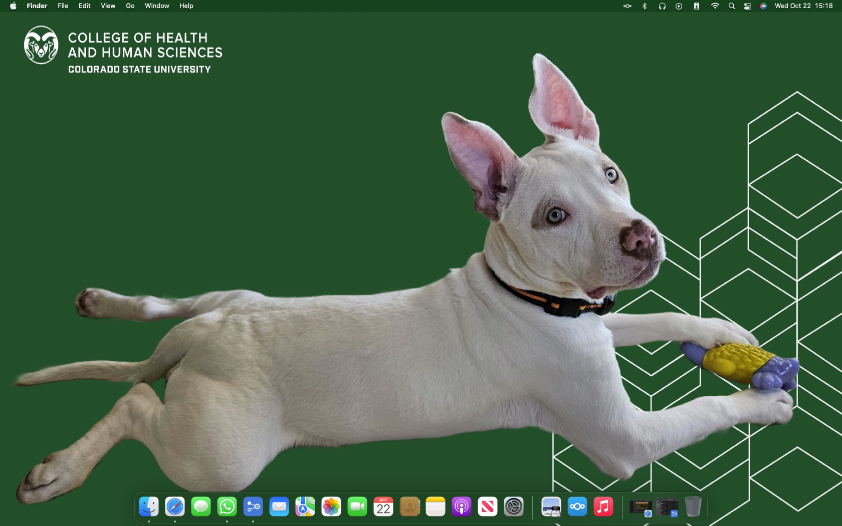 Screen Shot 2025-10-22 at 15.18.52.png