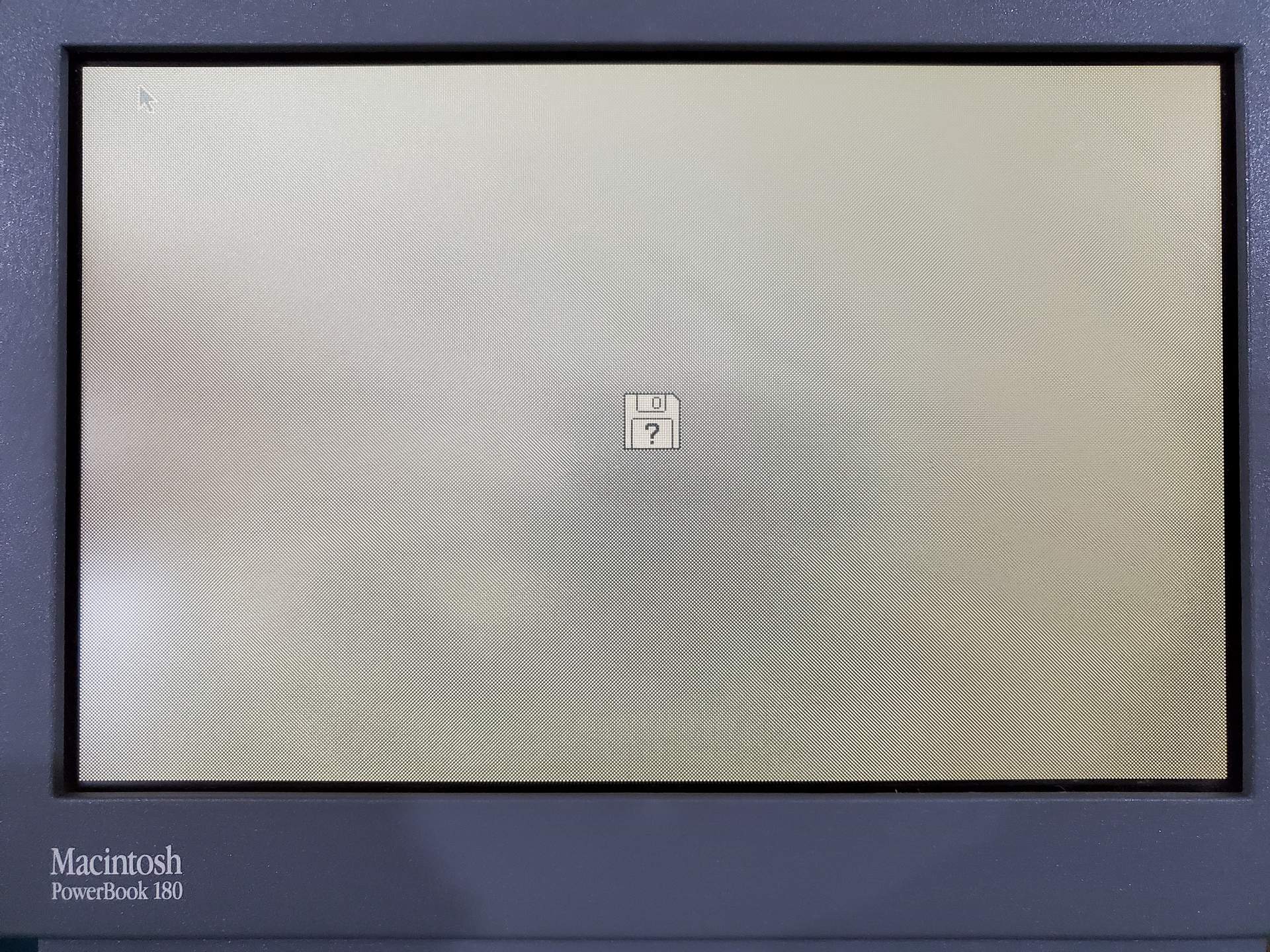 Screen with Questionmarks.jpg