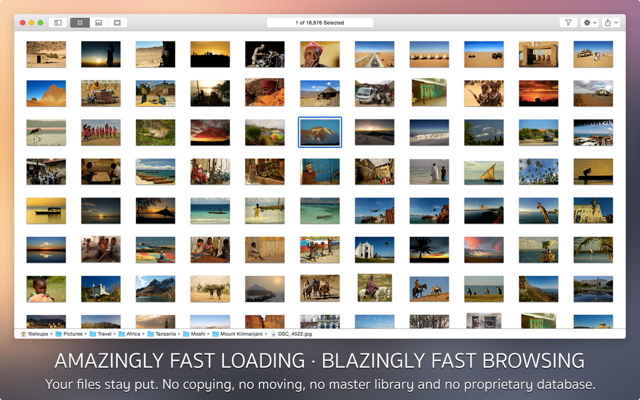 screen1280x800-2.jpeg