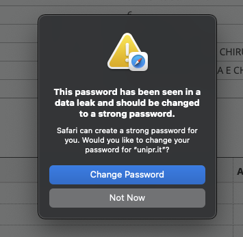 safari this password data leak
