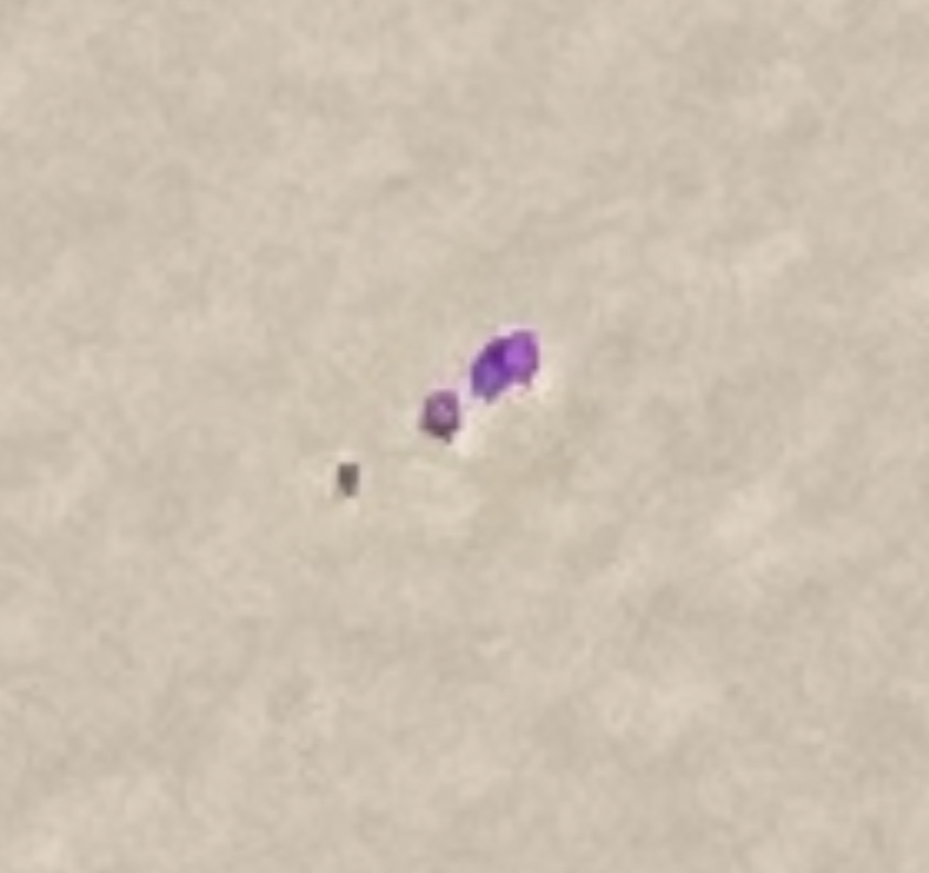 Screenshot 2020-11-29 at 20.34.38.png