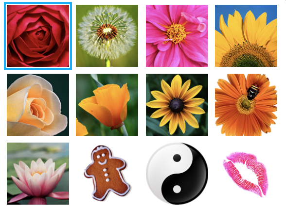 Do you use the macOS user profile images? | MacRumors Forums