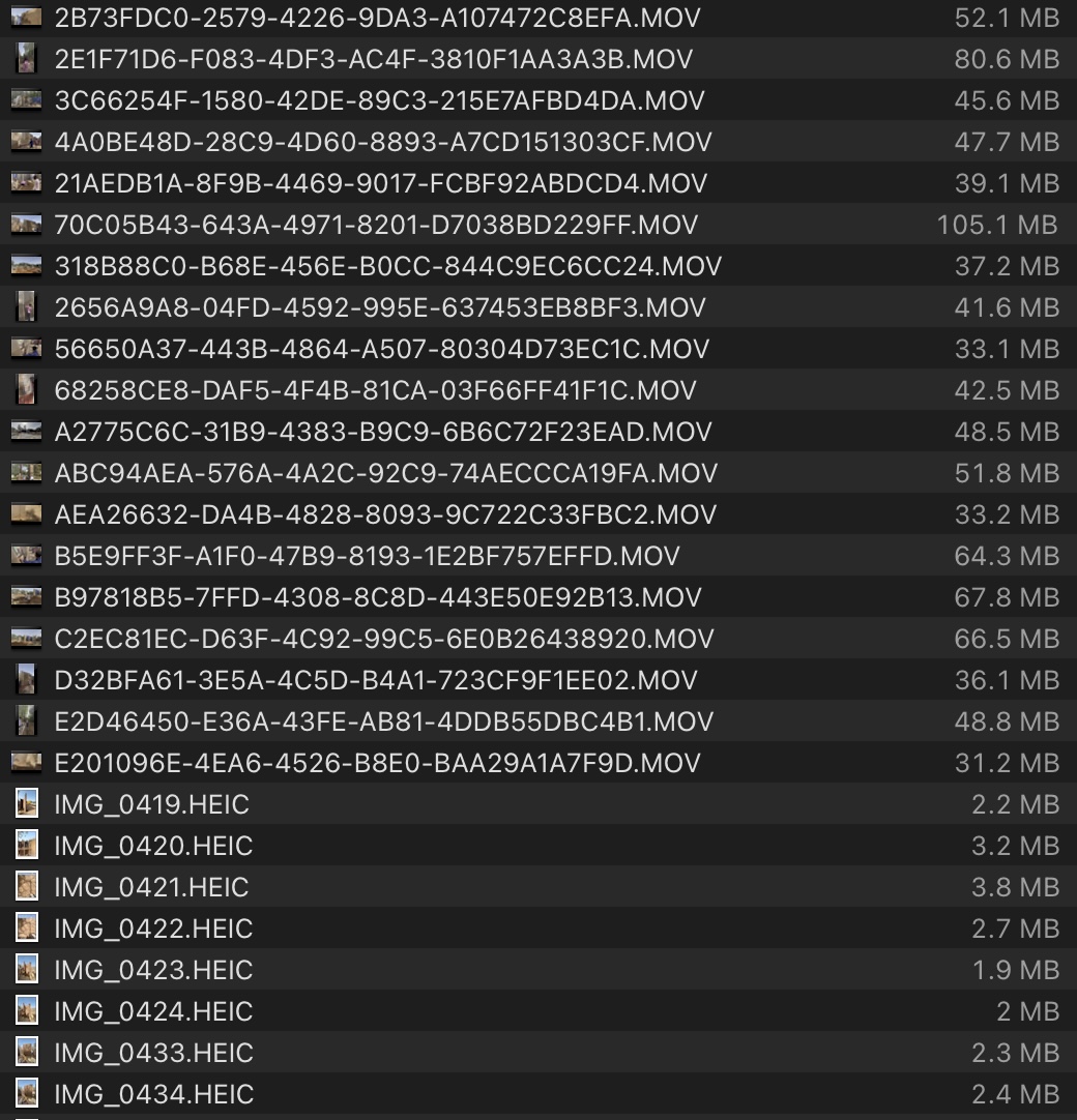 Screenshot 2022-06-24 at 08.22.17.jpg
