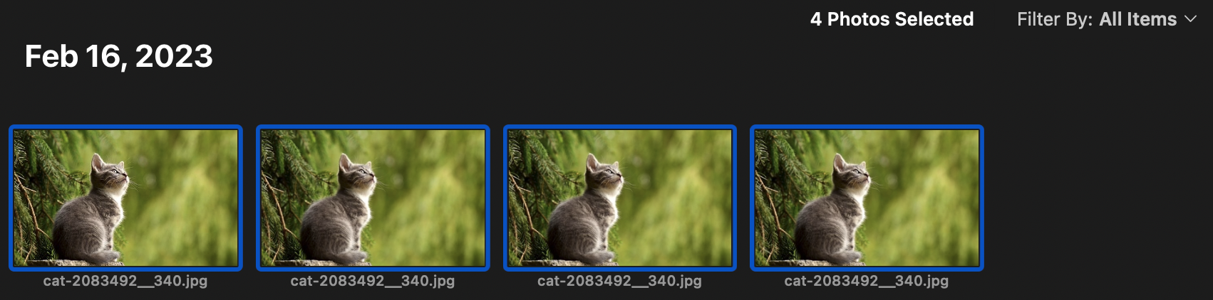 Screenshot 2023-02-16 at 2.52.00 PM.png