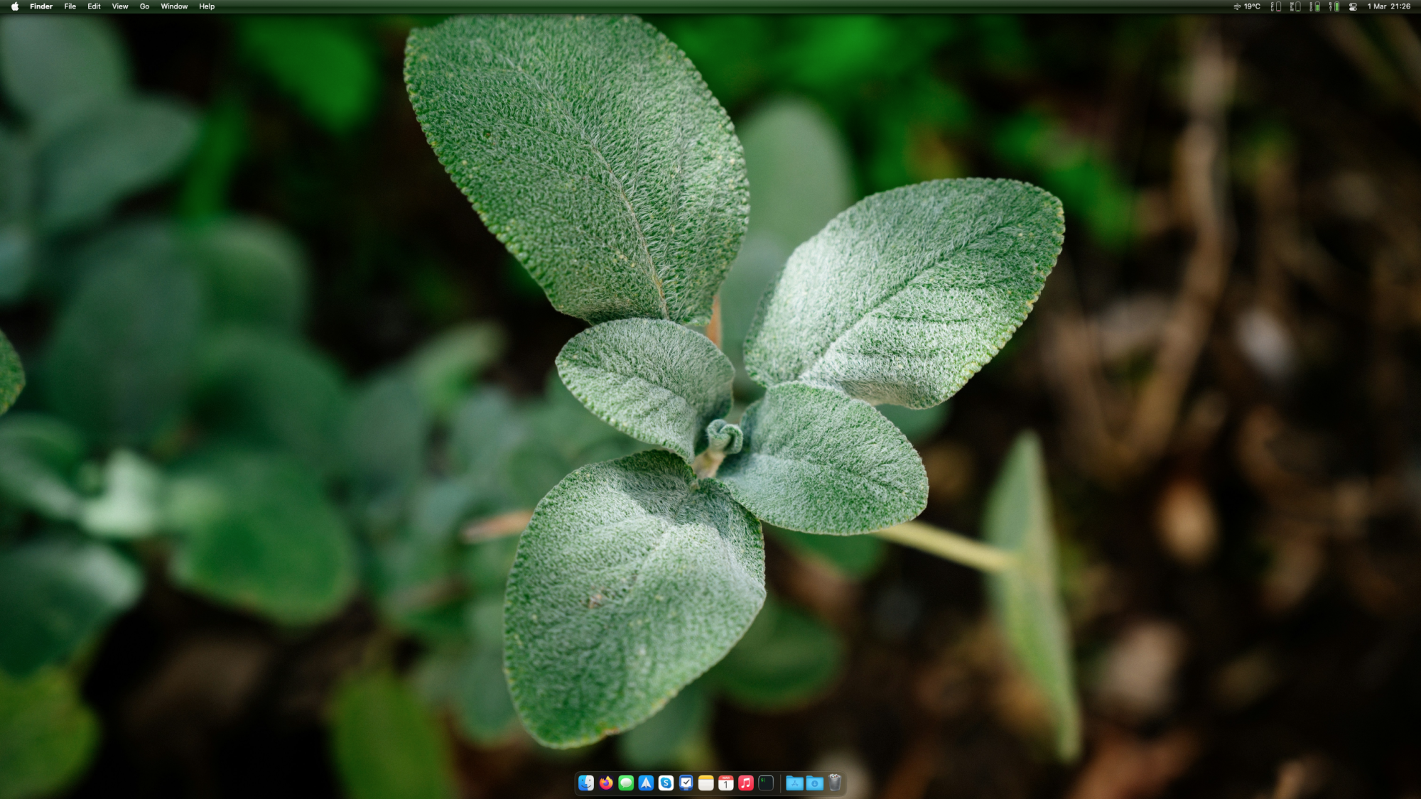 Screenshot 2025-03-01 at 21.26.15.png