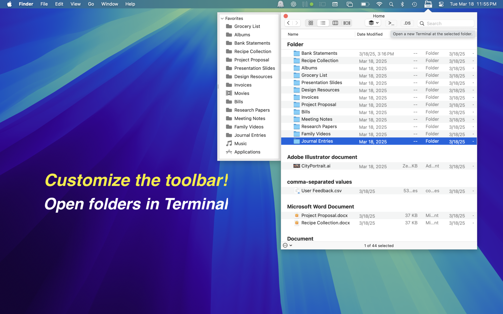 File Cabinet Pro Mac screenshot with open in Terminal toolbar item hovered.