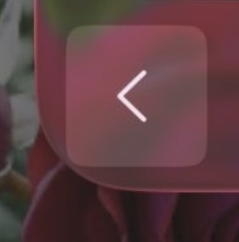Screenshot 2025-08-20 at 09.33.04.png