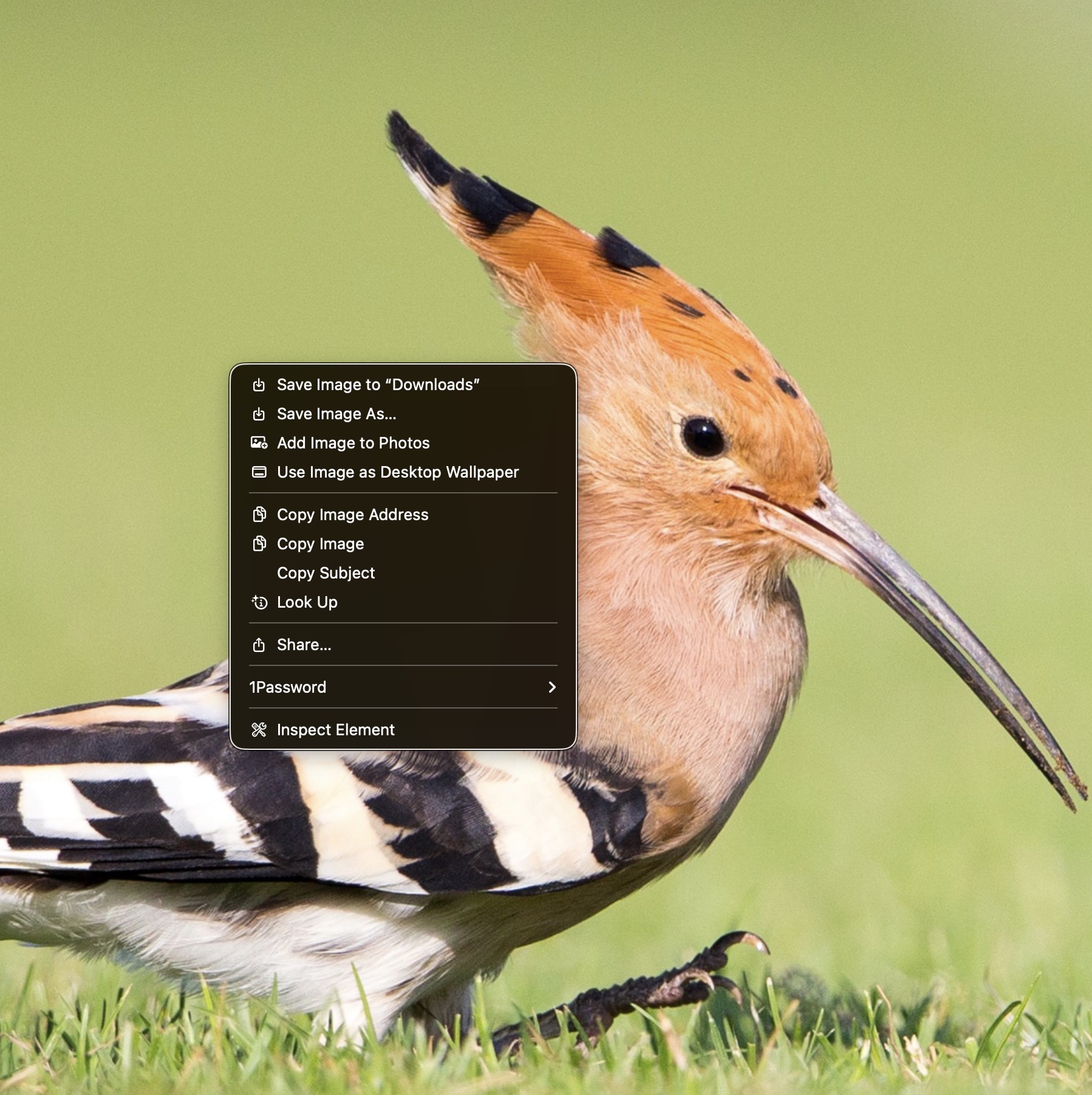 Screenshot 2025-09-24 at 9.41.50 PM.jpg