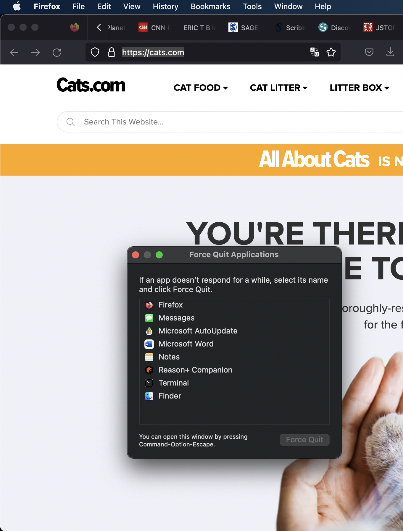 Screenshot at Apr 02 06-28-31.png