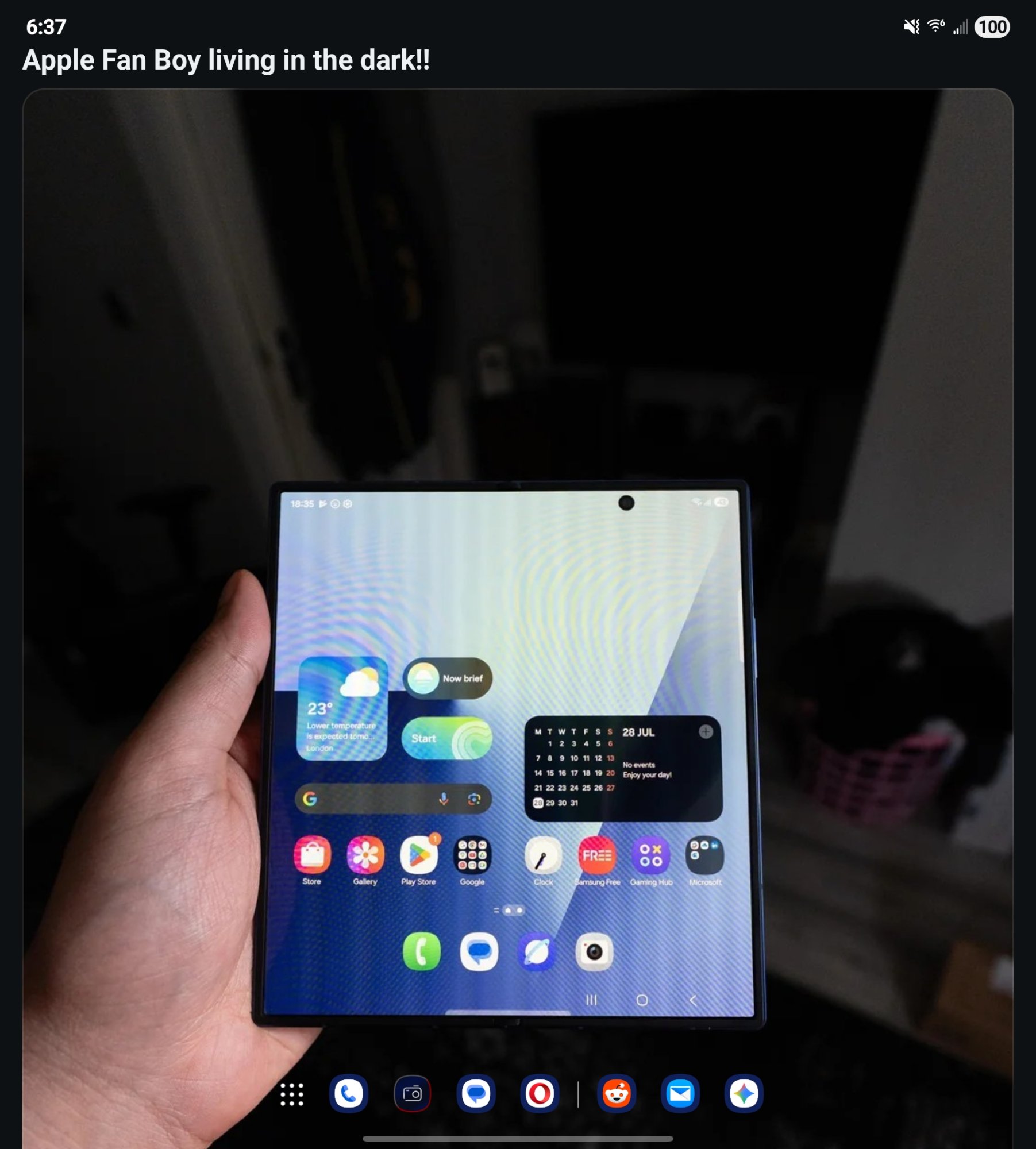 Screenshot_20250729_063700_Reddit.jpg