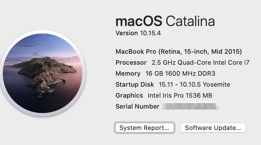 Screenshot_of_System_Information.jpg