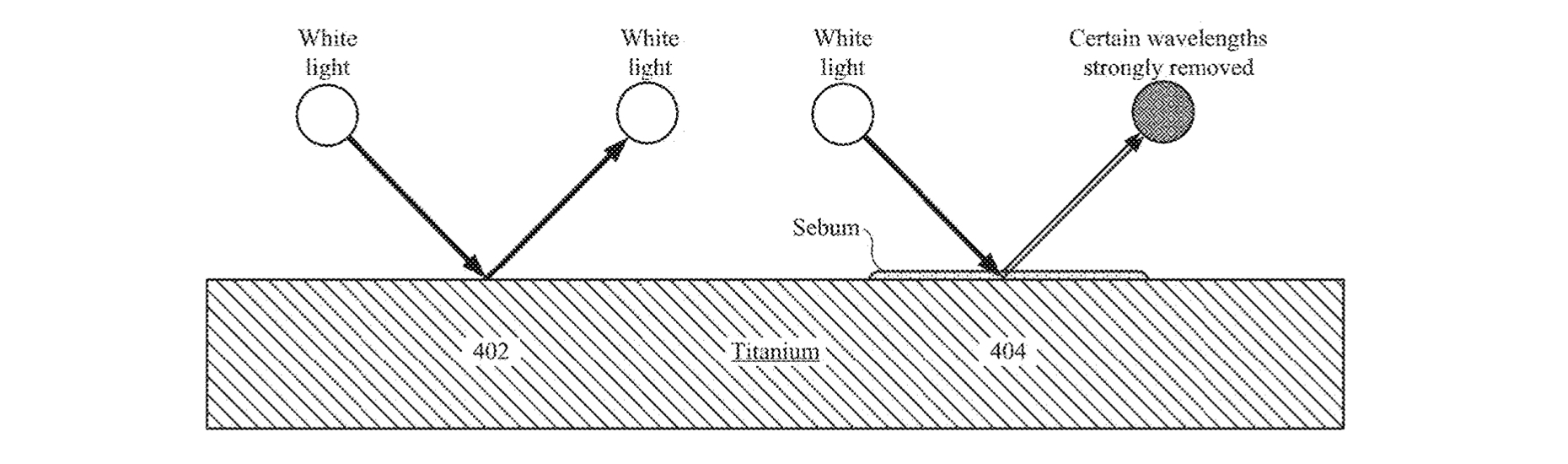 sebum.jpg