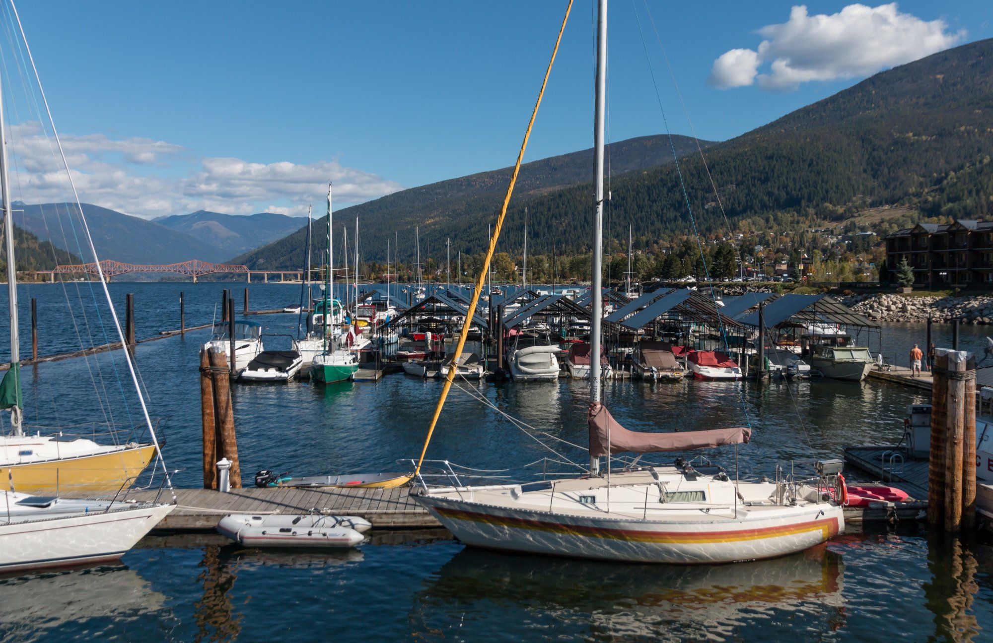 Selkirk_IMG_1587.jpg