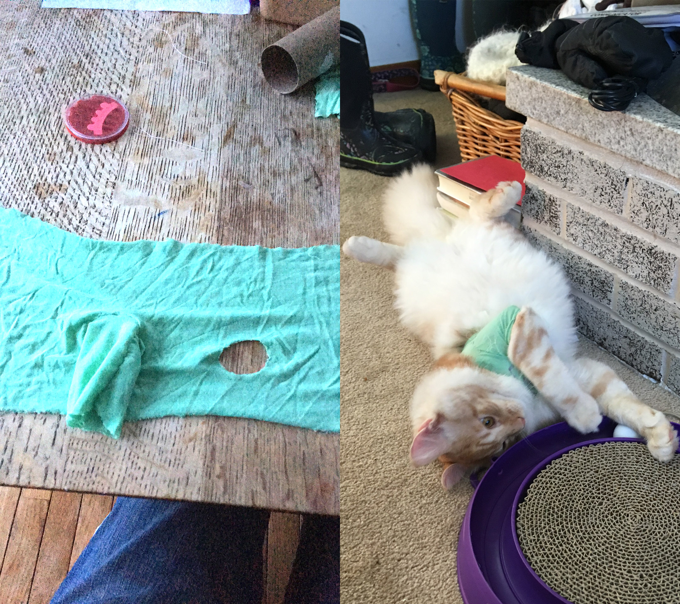 sewing.jpg
