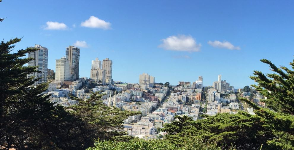 sf_trees.jpg
