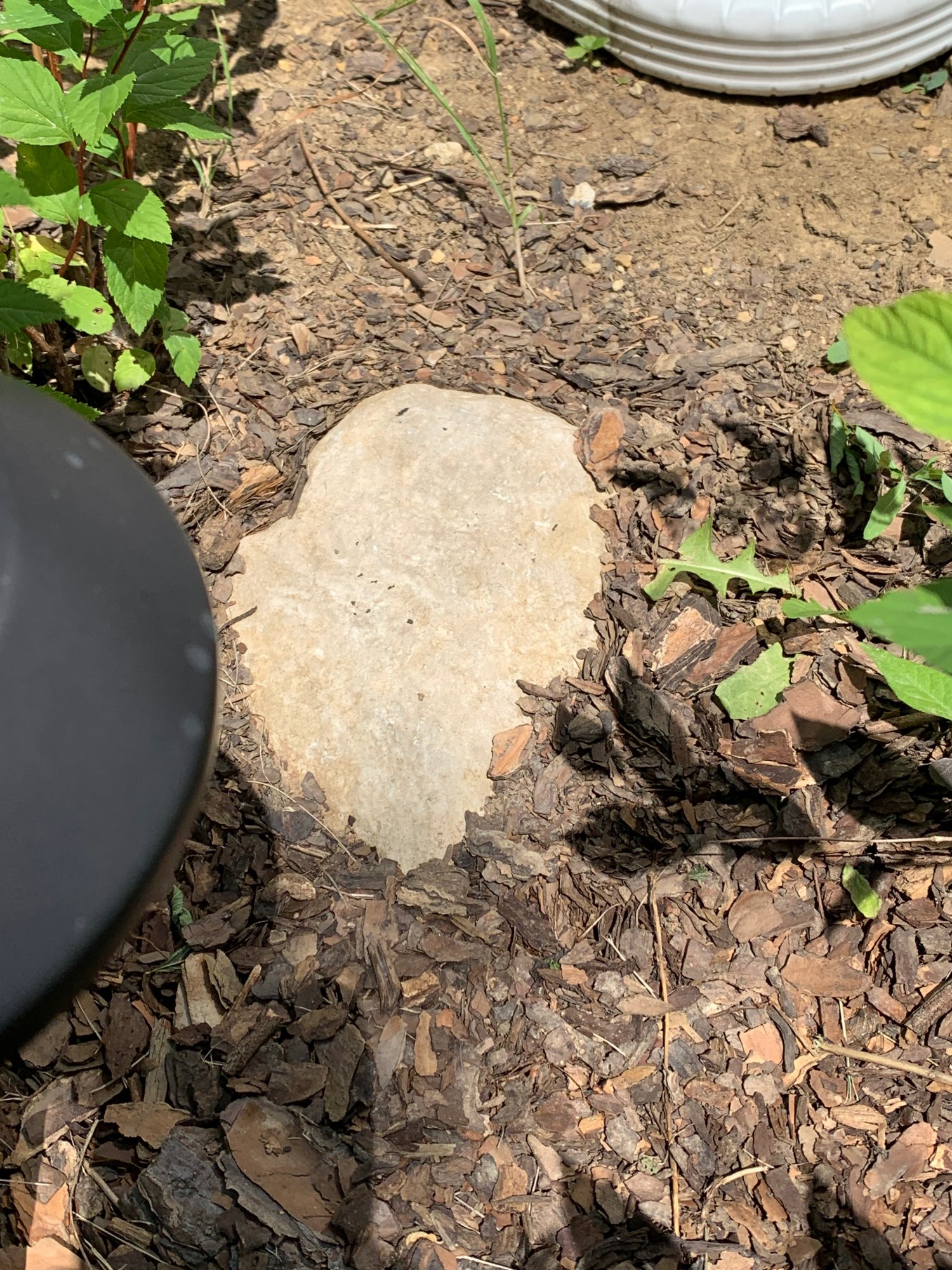 Shane's burial stone.jpeg