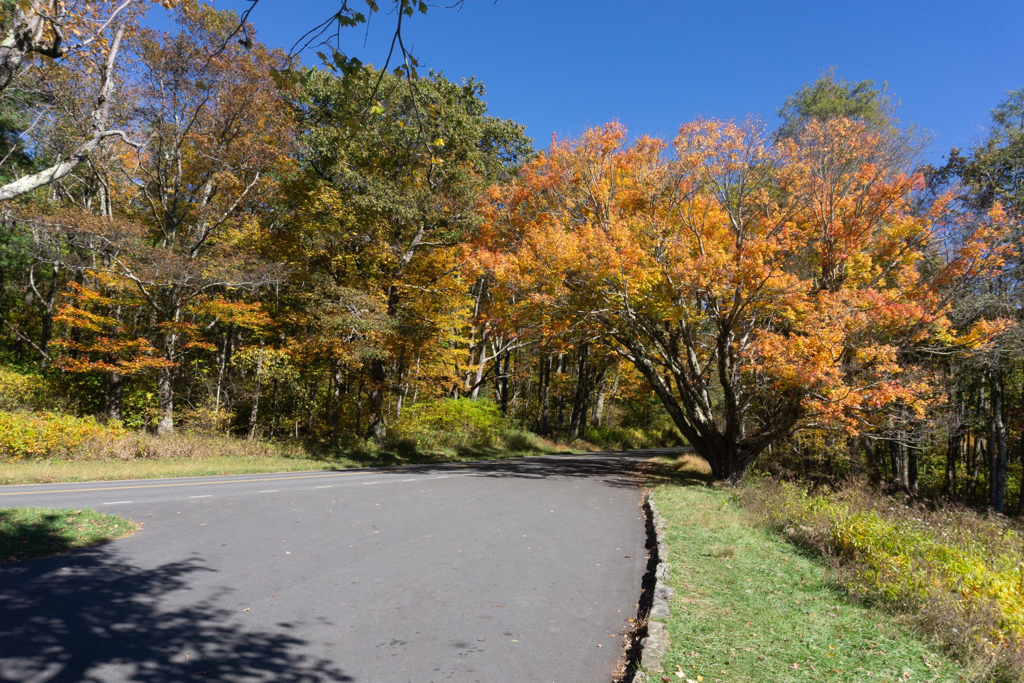 Shenandoah & Blue Ridge - 2500px-6.jpg