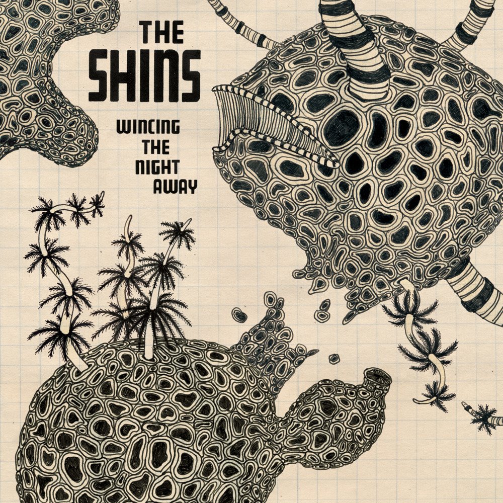 Shins.jpg