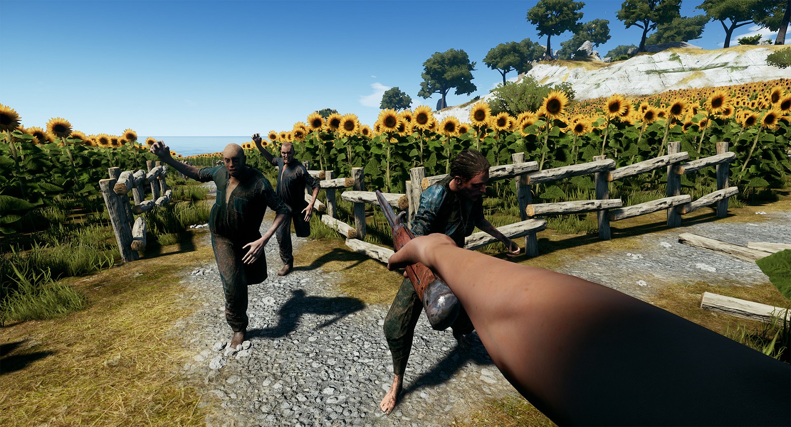 shot5.jpg