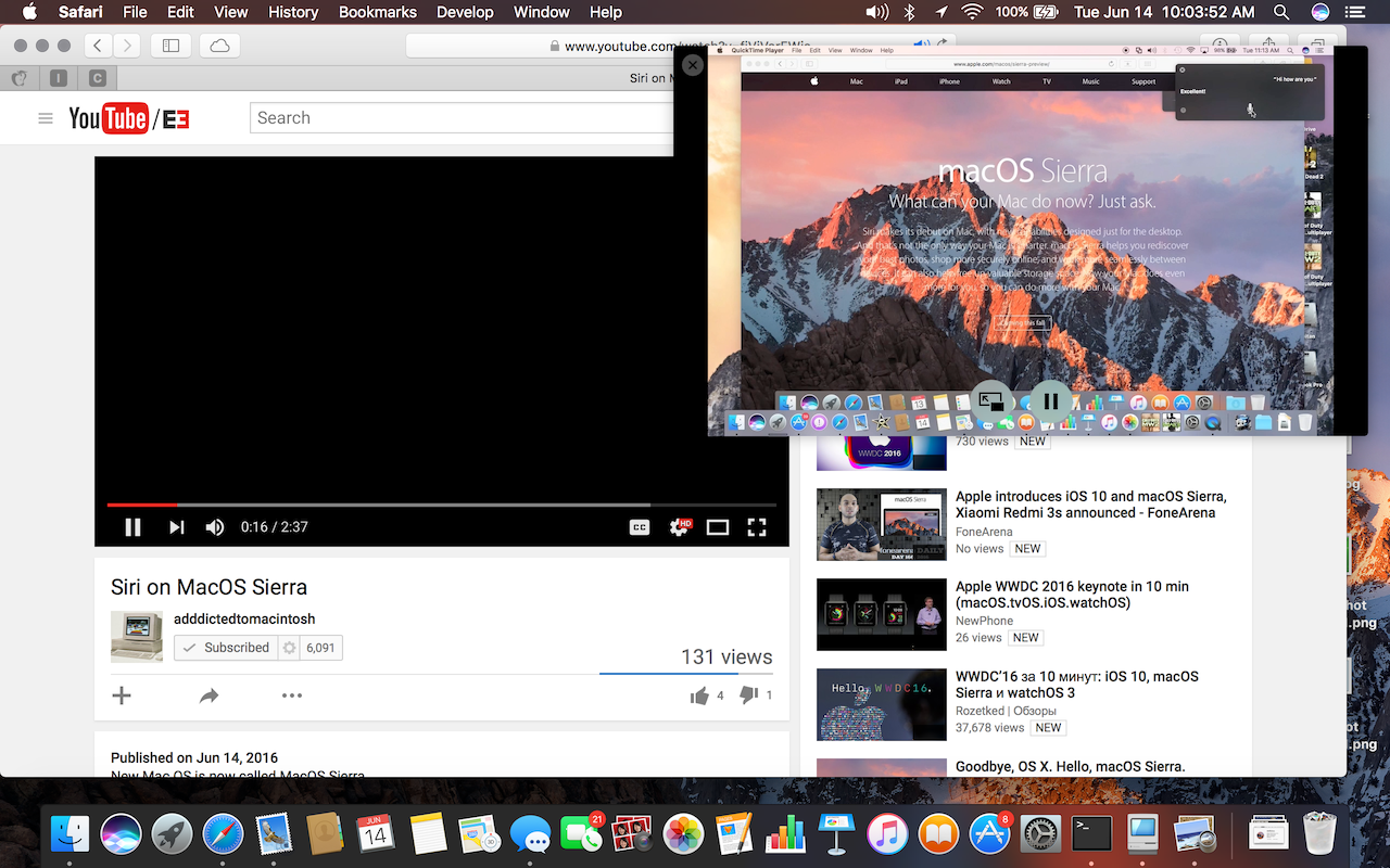 Sierra-Picture in Picture.png