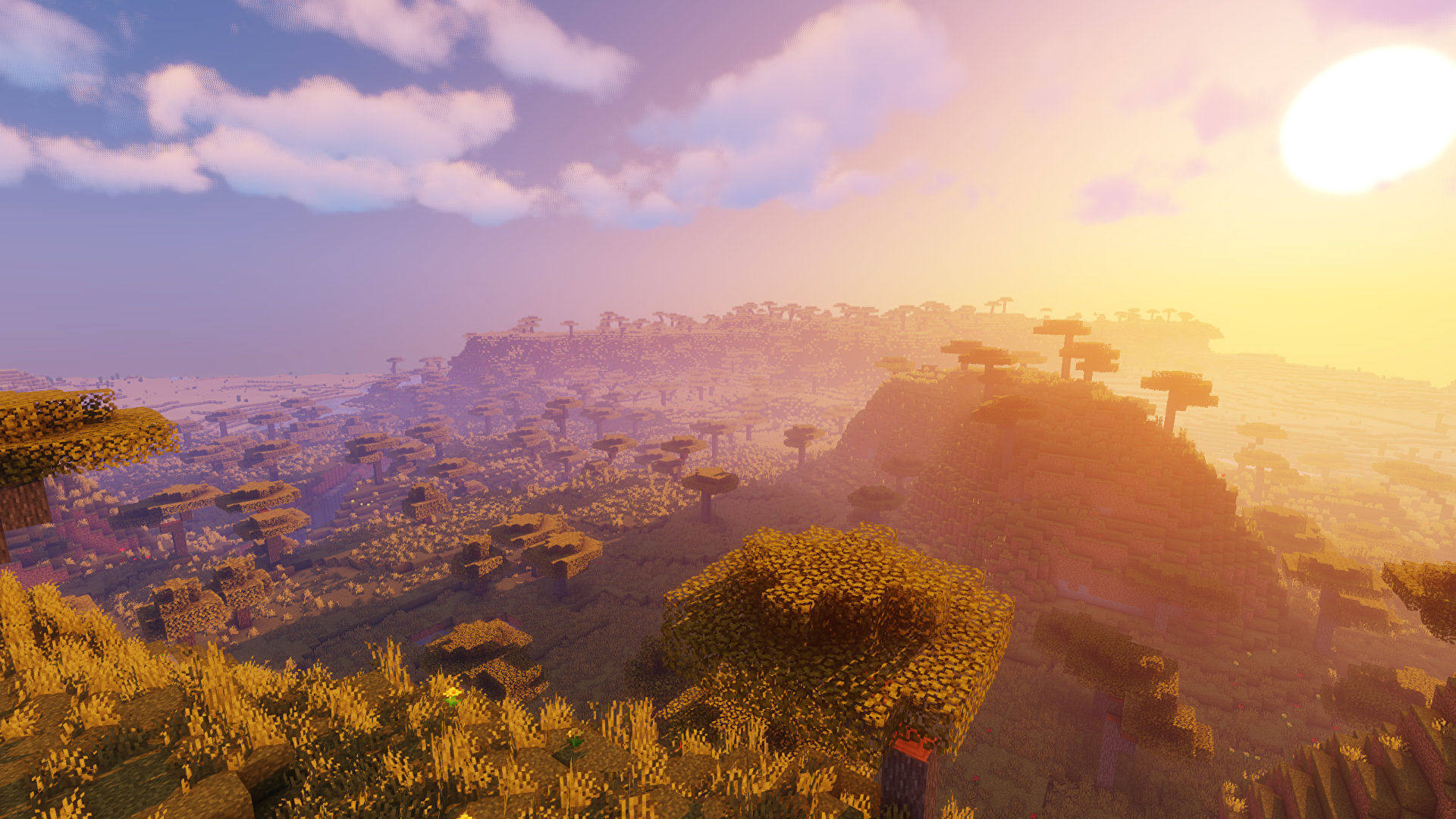 sildur's vibrant shaders.jpg