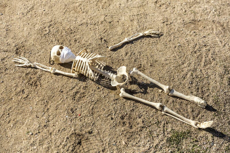 skeleton.jpg