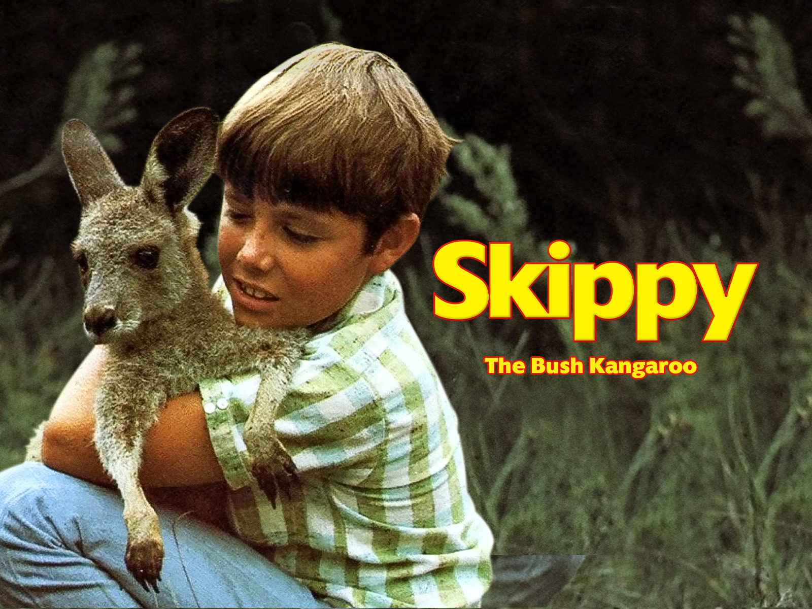 Skippy.jpeg