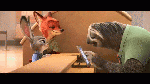 sloth-typing-zootopia.gif