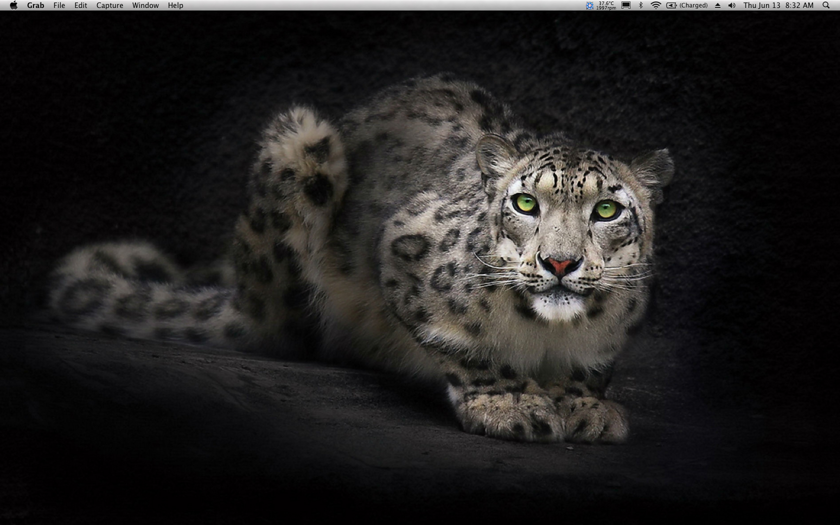 snowleopard desktop.jpg