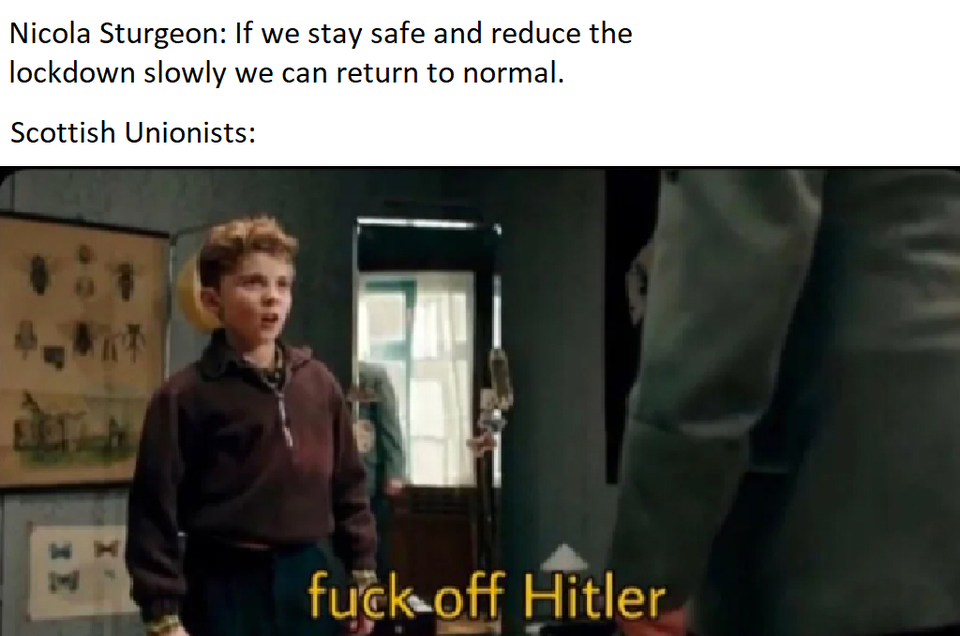 so0iac6hn2951.png