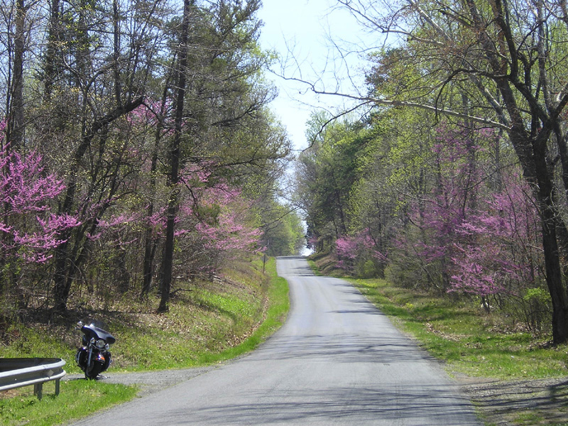 SpringBike46.jpg