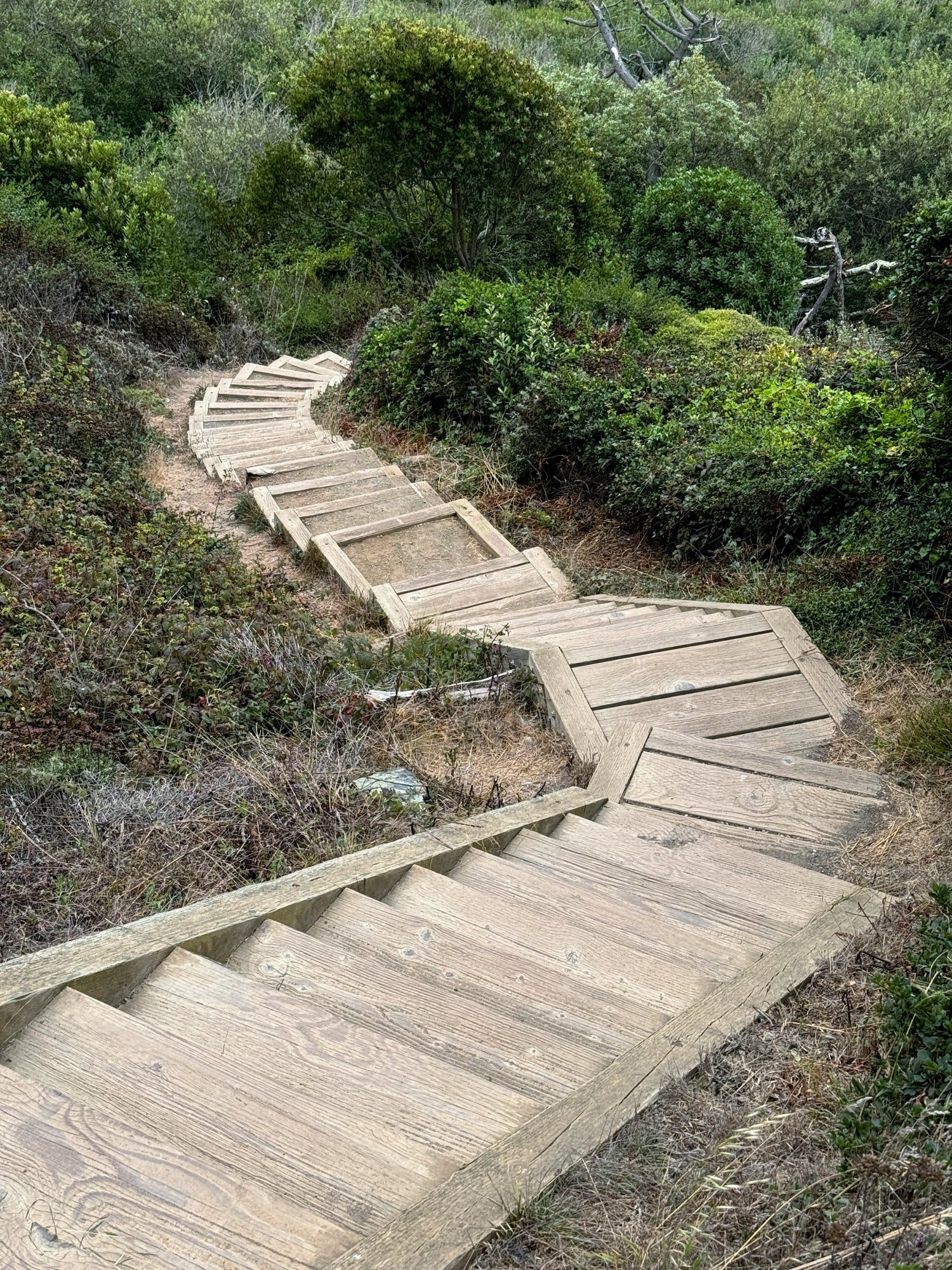 stairs CORRECTED.jpg