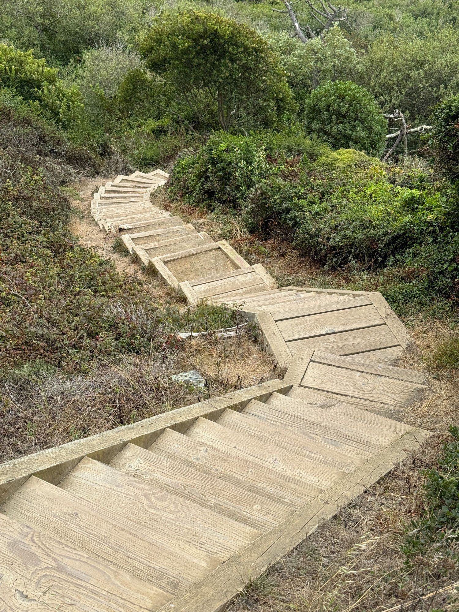 stairs.jpeg