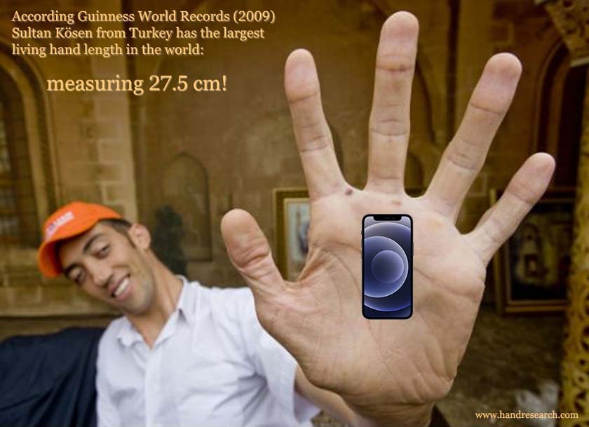 sultan-kosen-largest-hand-guinness-world-records.jpg
