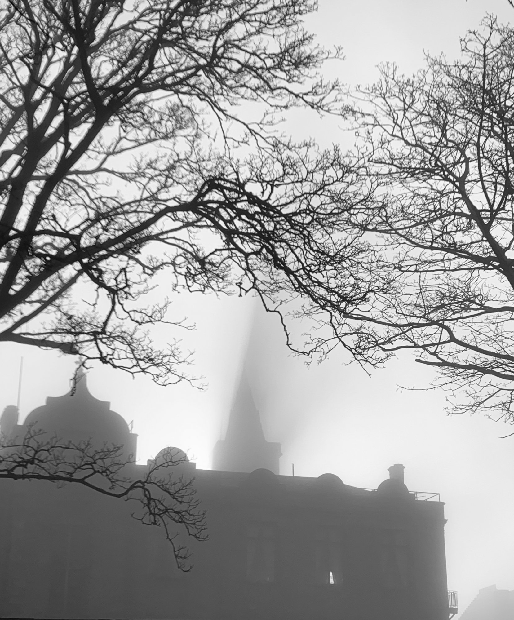 Sun and fog.jpg