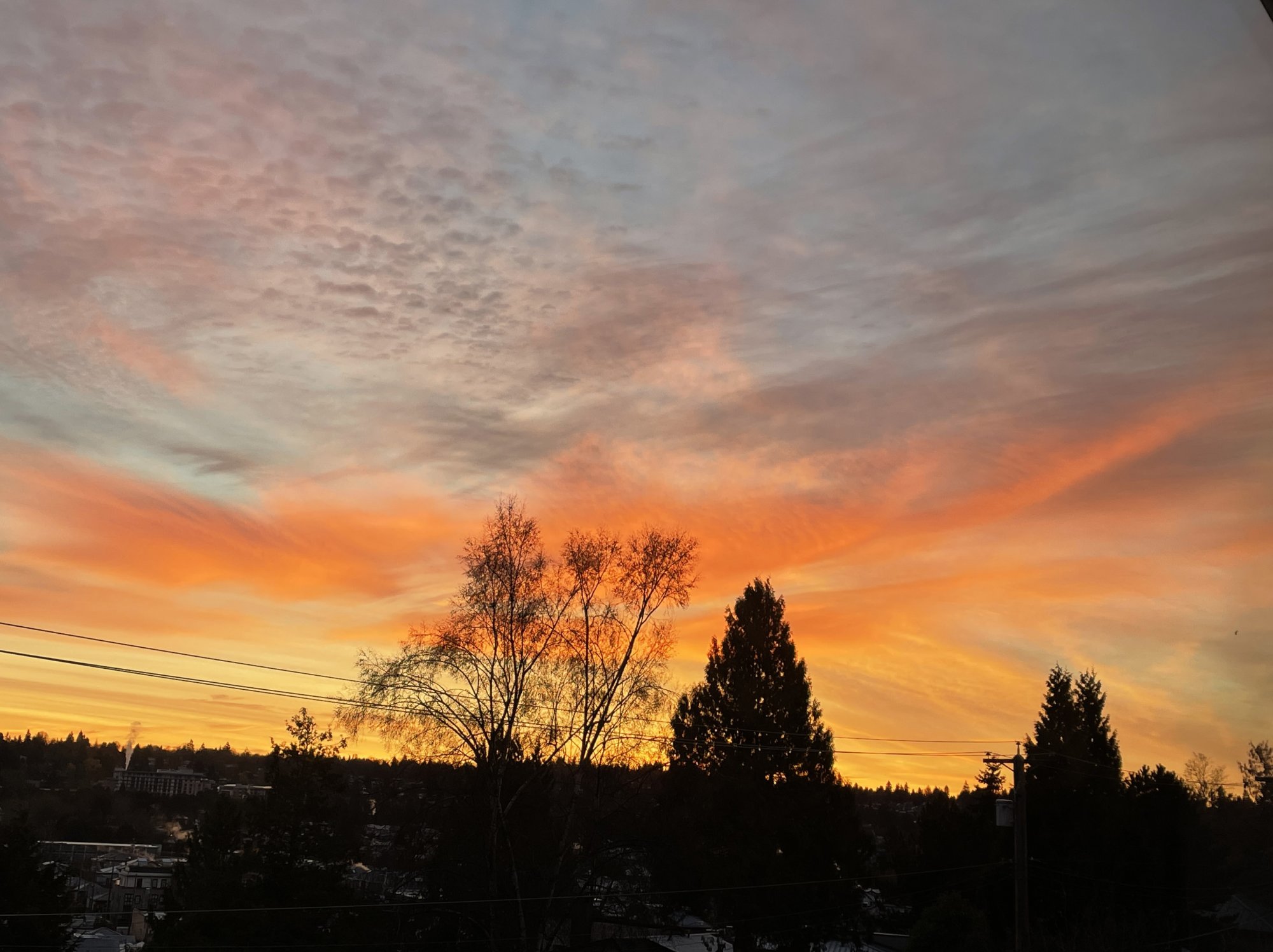 sunrise november iphone12pro.jpg